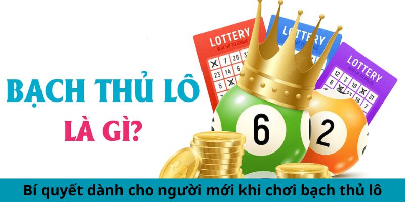 Bí quyết dành cho người mới khi chơi bạch thủ lô