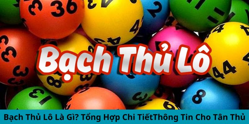 Bạch Thủ Lô Là Gì? Tổng Hợp Chi Tiết Thông Tin Cho Tân Thủ