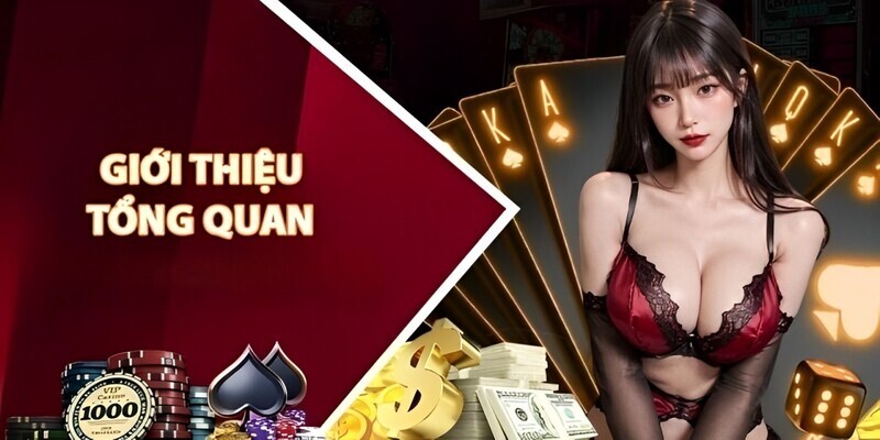 Giới thiệu tổng quan về ứng dụng 98Win