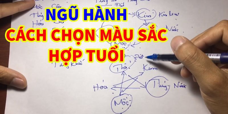 Hướng dẫn chi tiết xem màu mạng gà đá đẳng cấp